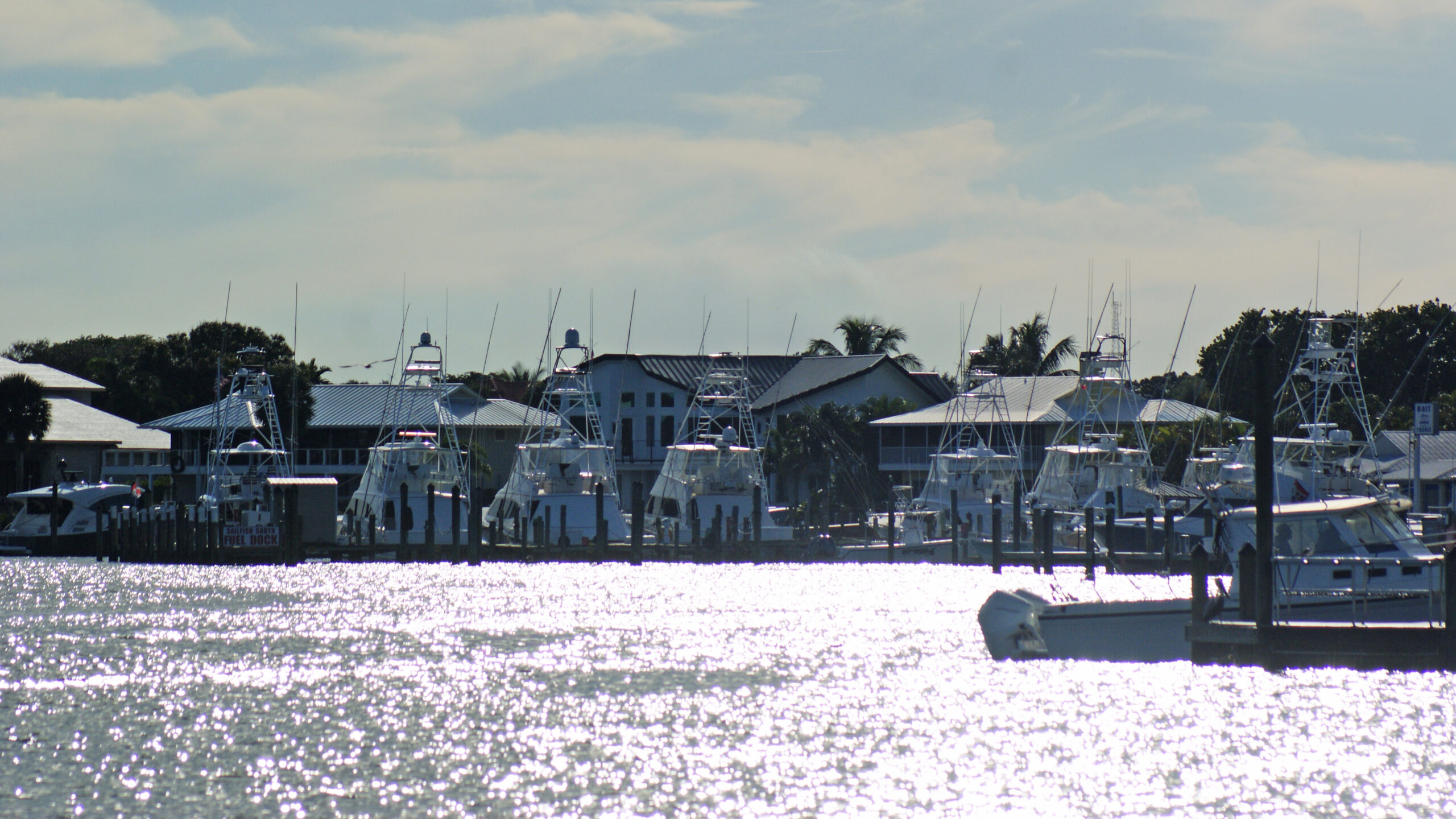 Marina